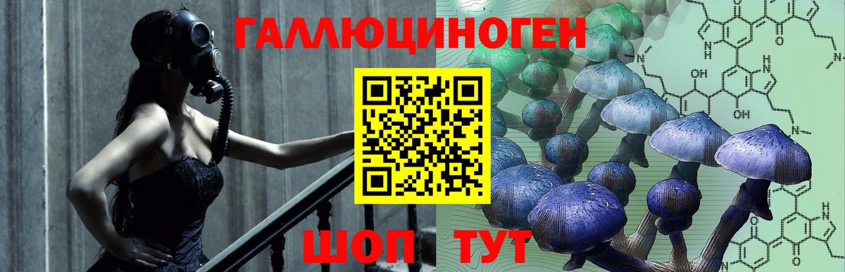 Галлюциногенные грибы Cubensis Малгобек